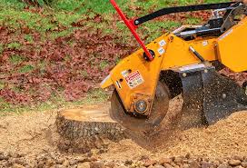 Best Lawn Mowing  in Conway, SC